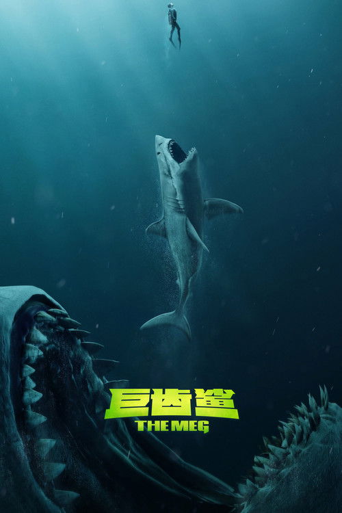 巨齿鲨